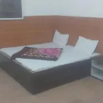 Hotel Luvkush International
